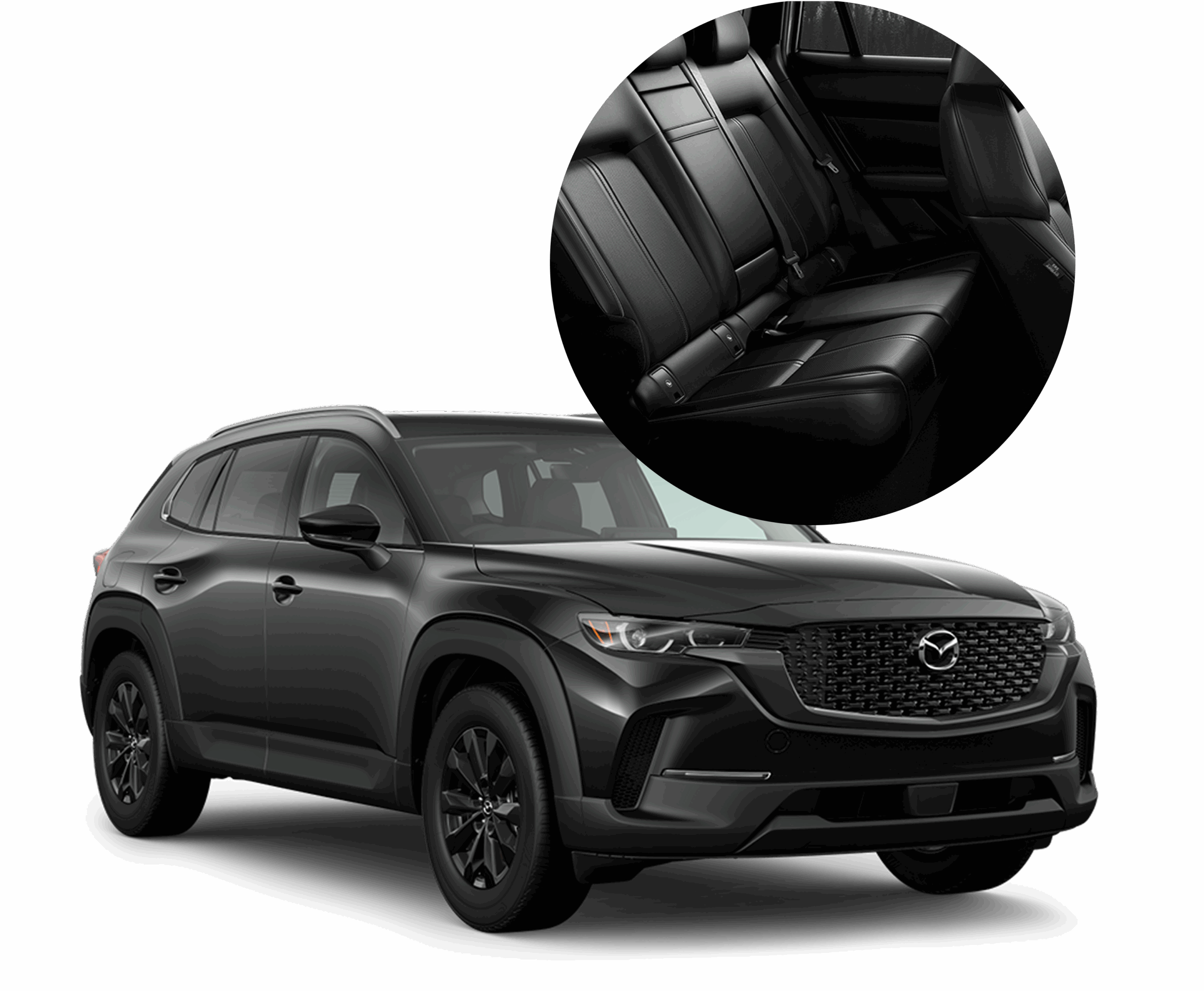 cx50 rent car
